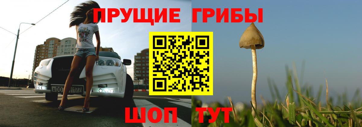 Псилоцибиновые грибы мицелий  Псилоцибиновые грибы MAGIC MUSHROOMS  Вход с VPN  что такое   Донской 